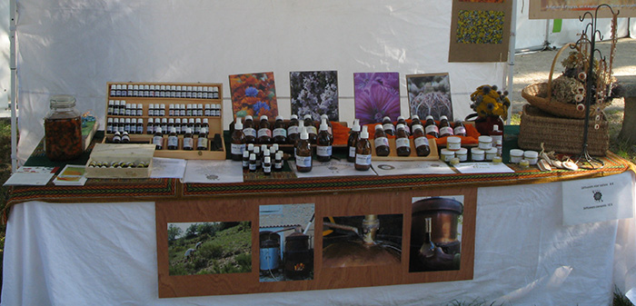 Flora terra sur les march�s